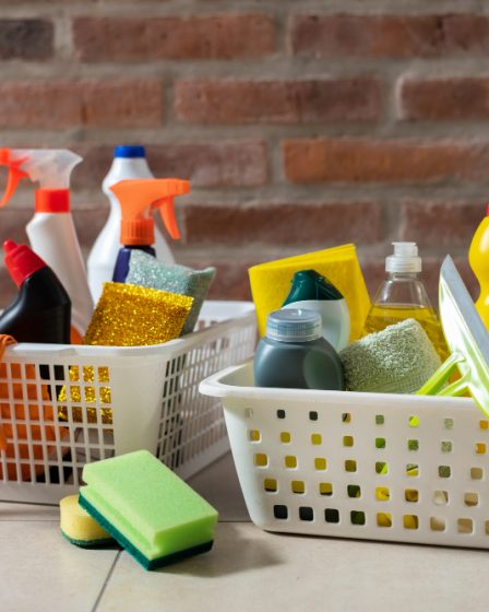 Onde comprar produtos domissanitários seguros