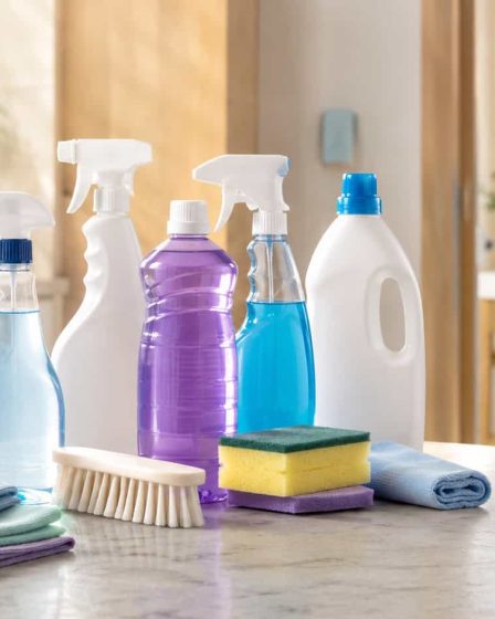 Produtos de limpeza: quais não podem faltar em casa?