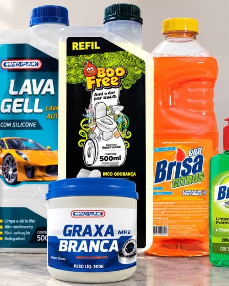 O que são produtos domissanitários? Veja exemplos e usos